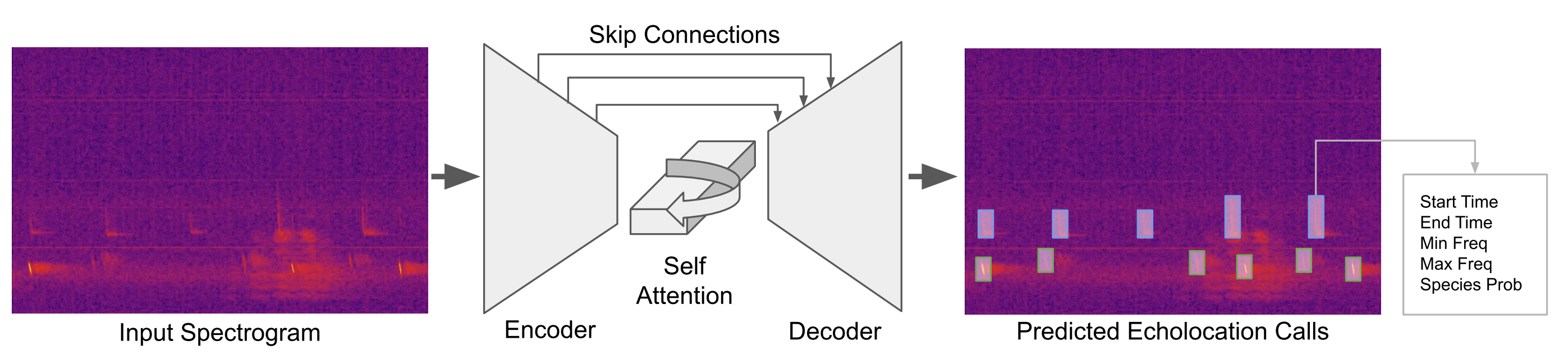 batdetect-architecture
